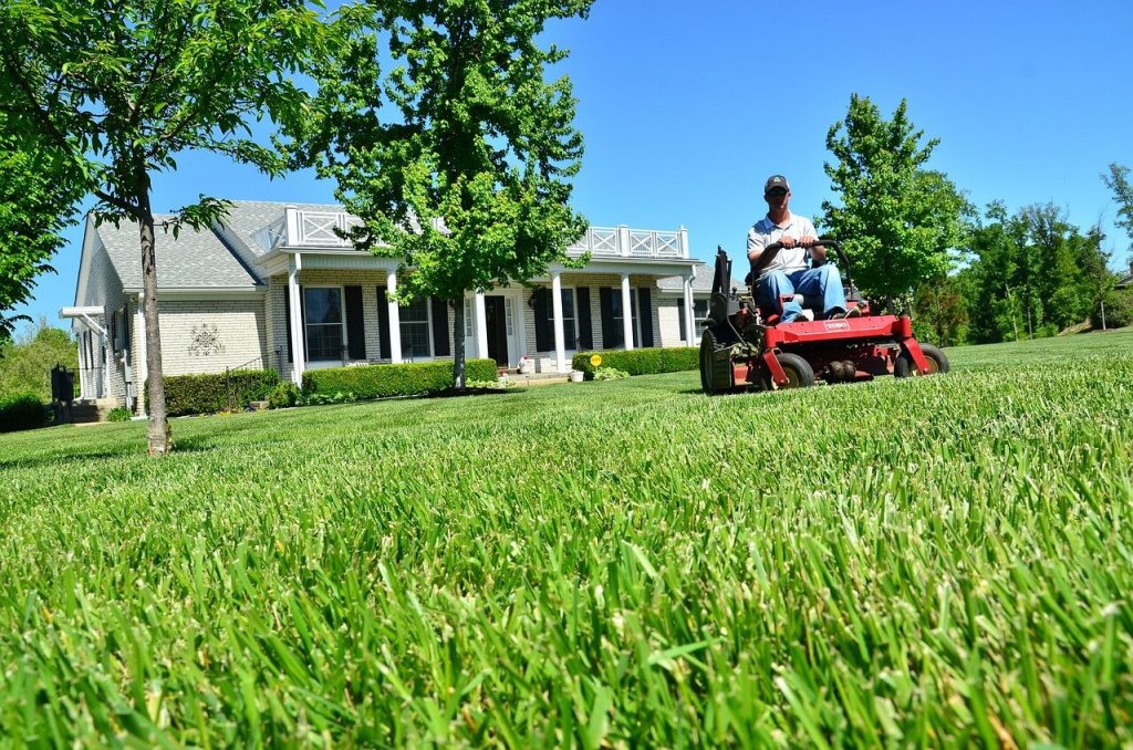 best-lawn-mowing-service-sydney-ray-s-lawn-mowing-pymble-lawn-mowing